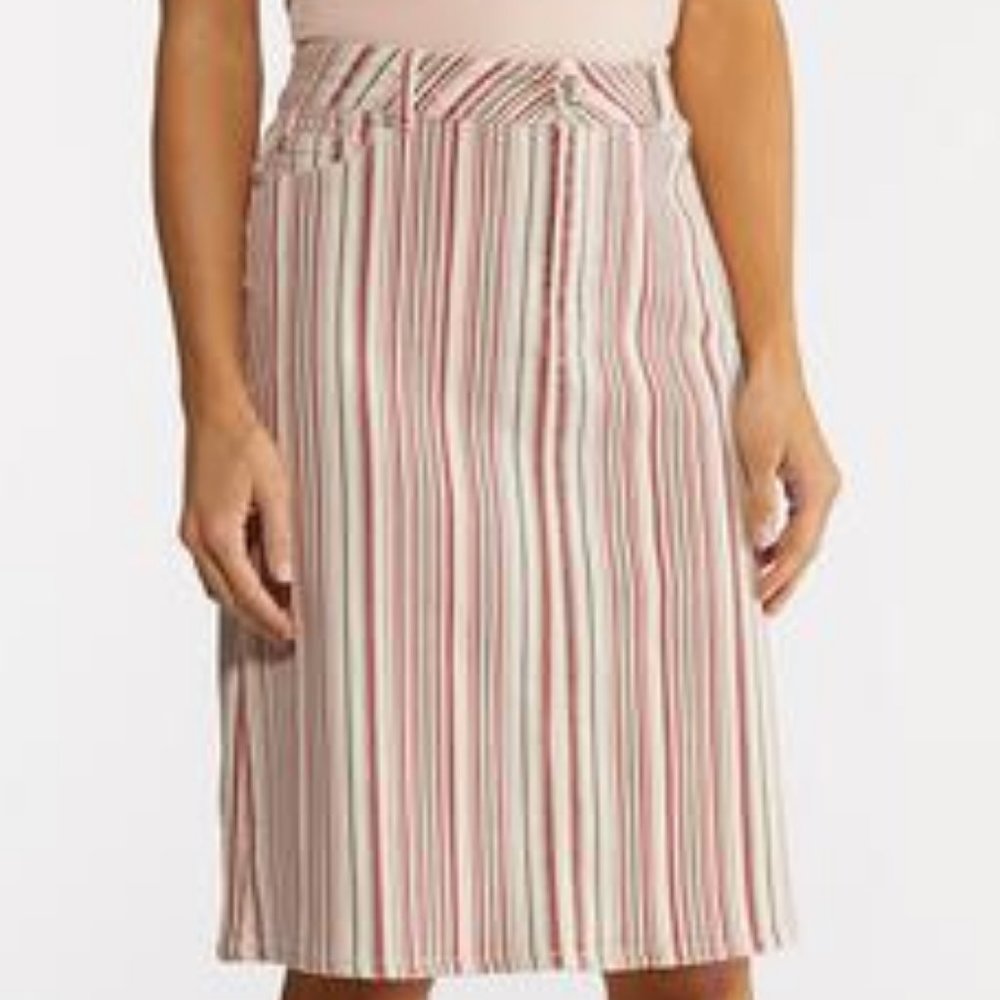 Plus Size Stripe Denim Skirt